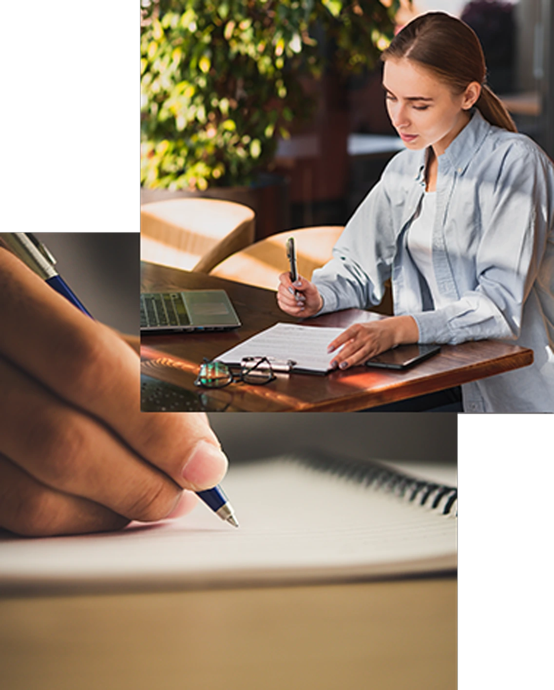Book marketing Services
